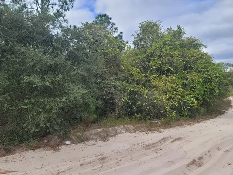 Cooter Pond Road Deland FL 32720