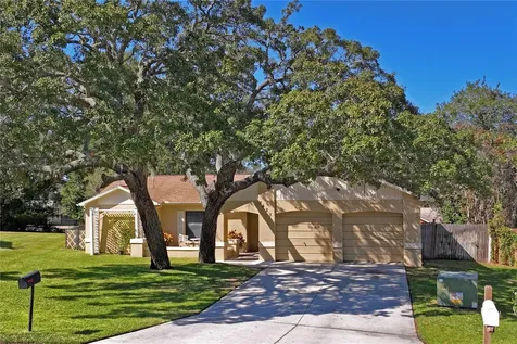 3423 Kapok Tree Court Spring Hill FL 34606