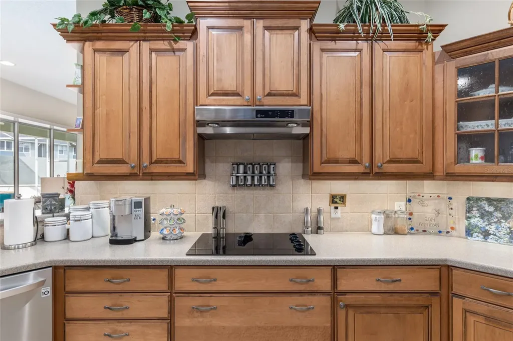 3051 SW 41st Place Ocala FL 34474