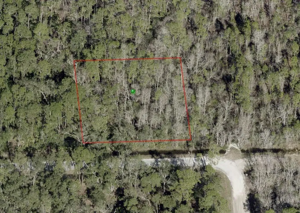 Blossom Road Deland FL 32724