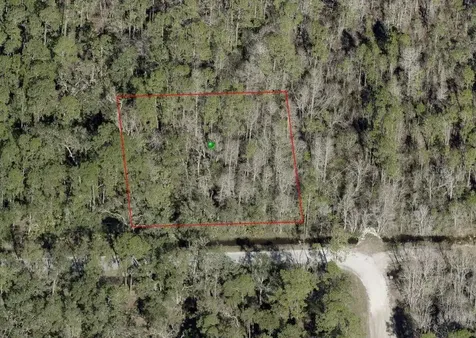 Blossom Road Deland FL 32724