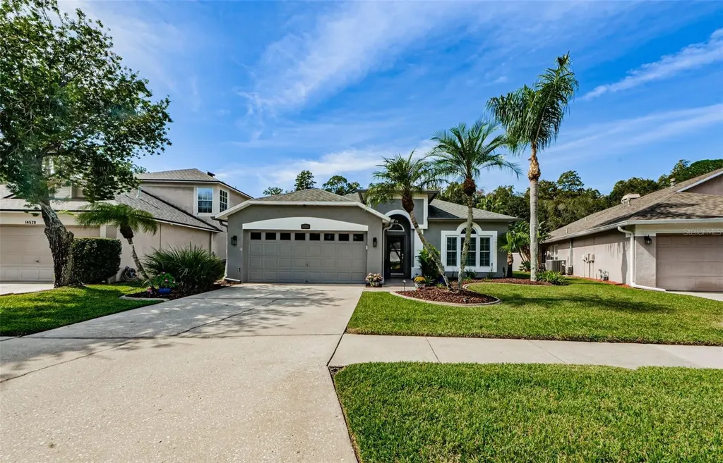 14530 Weeping Elm Drive Tampa FL 33626