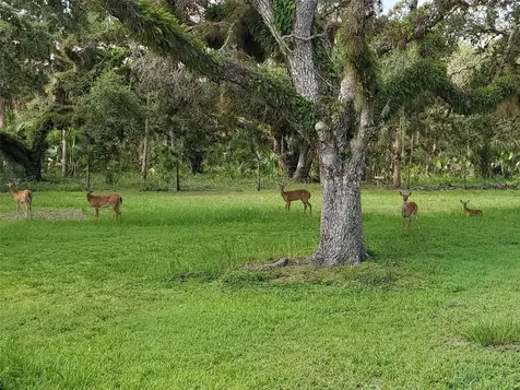 14294 Mossy Oak Lane Myakka City FL 34251