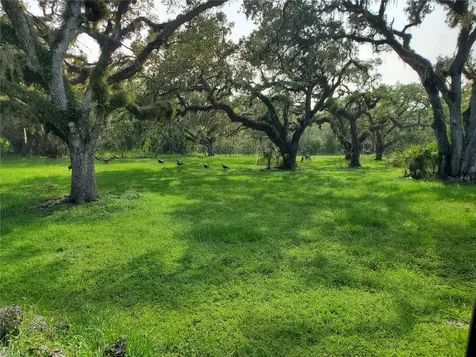 14294 Mossy Oak Lane Myakka City FL 34251