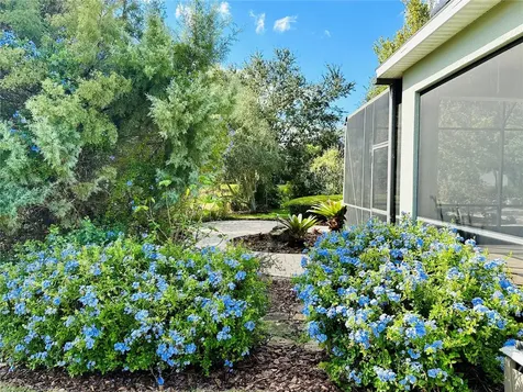 3624 Matira Court Clermont FL 34711