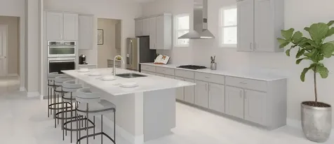 9857 Sword Fern Way Land O Lakes FL 34637