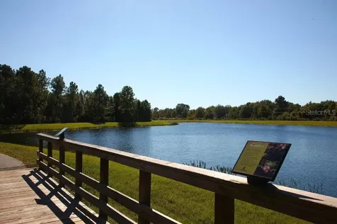 9857 Sword Fern Way Land O Lakes FL 34637
