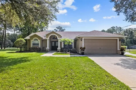 27015 Golden Meadow Drive Wesley Chapel FL 33544
