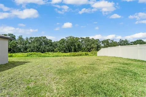 16718 Delia Street Wimauma FL 33598