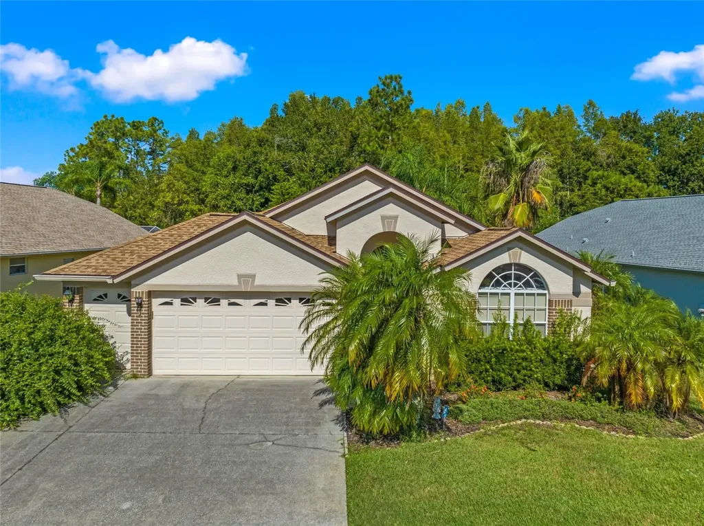 8209 Sanguinelli Road Land O Lakes FL 34637