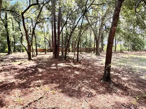 1022 Darcy Road Lady Lake FL 32159
