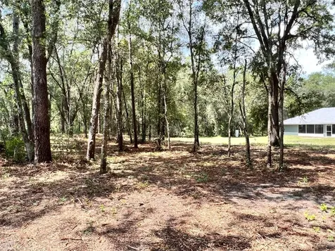 1022 Darcy Road Lady Lake FL 32159