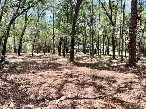 1022 Darcy Road Lady Lake FL 32159