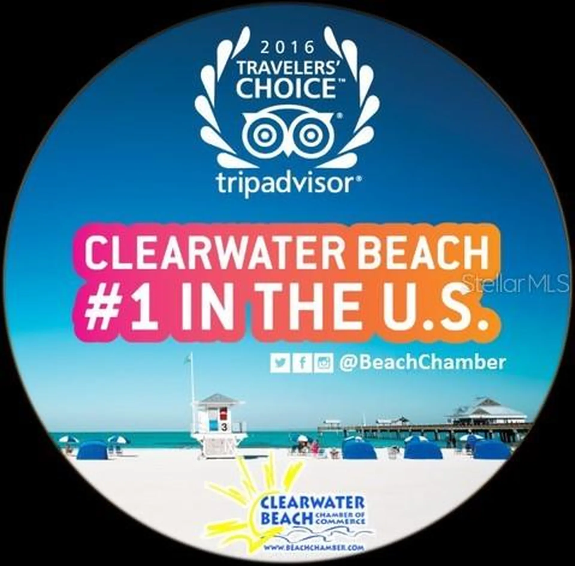 880 Mandalay Avenue Clearwater FL 33767