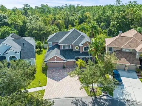 11668 Renaissance View Court Tampa FL 33626