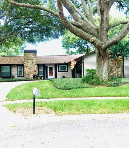 854 Trailwood Court Palm Harbor FL 34684