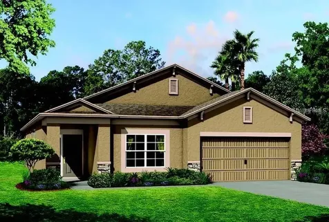 7687 Bronze Oak Drive Wesley Chapel FL 33545