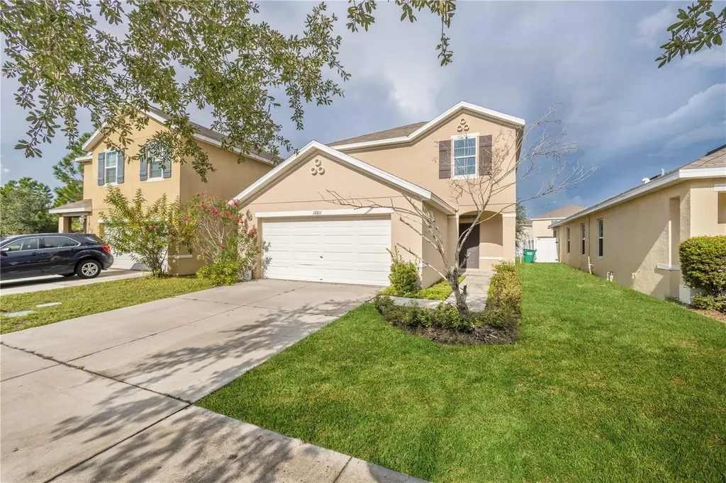 12211 Fawn Brindle Street Riverview FL 33578
