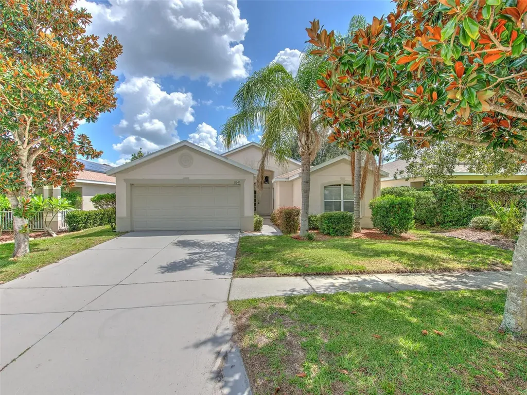 11541 Mountain Bay Drive Riverview FL 33569