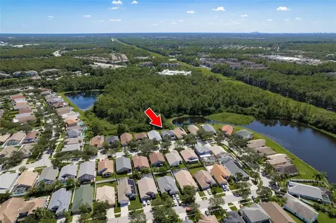 11234 Cypress Reserve Drive Tampa FL 33626