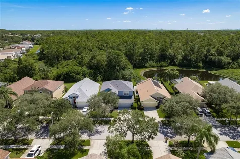 11234 Cypress Reserve Drive Tampa FL 33626