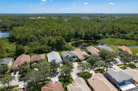 11234 Cypress Reserve Drive Tampa FL 33626
