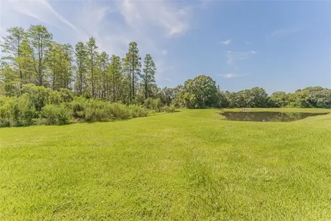 2894 Grand Kemerton Place Tampa FL 33618