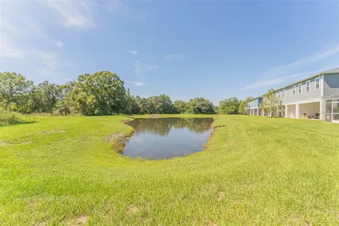 2894 Grand Kemerton Place Tampa FL 33618