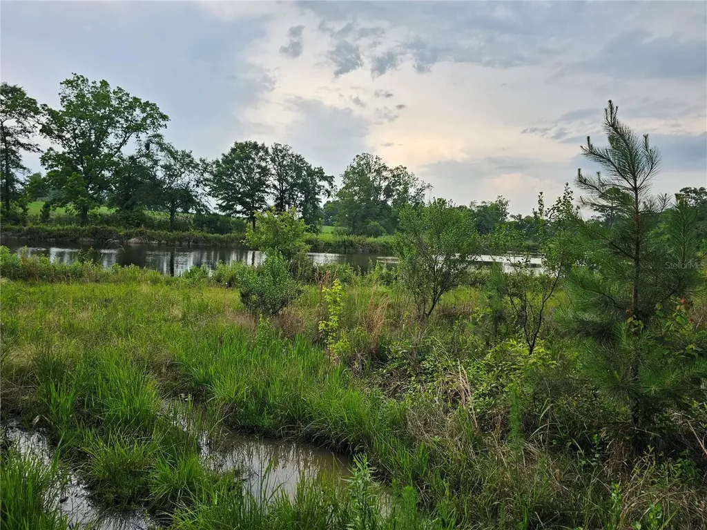 3602 Robert Murphy Road Graceville FL 32440