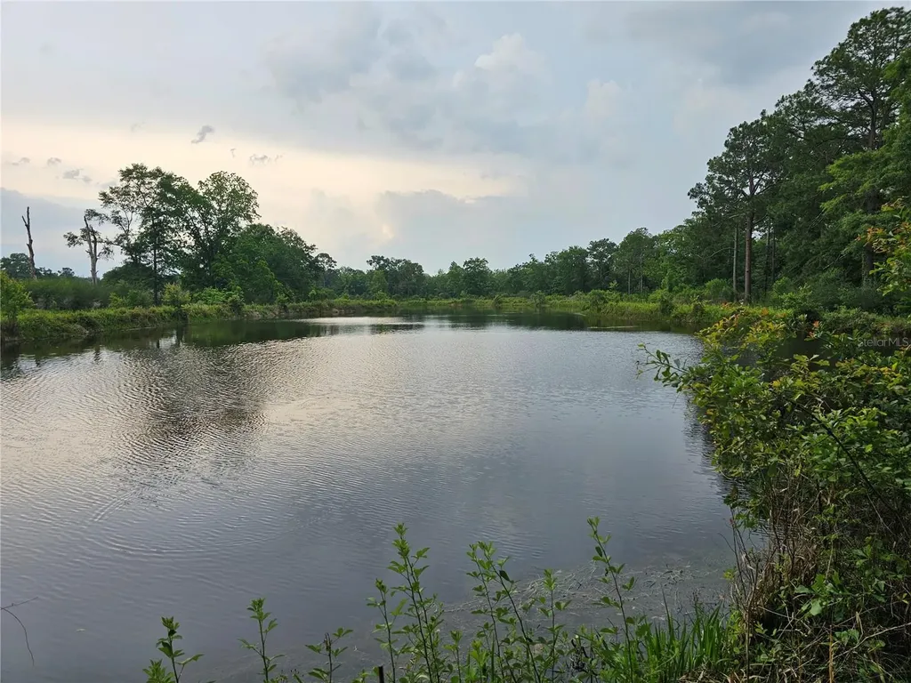 3602 Robert Murphy Road Graceville FL 32440