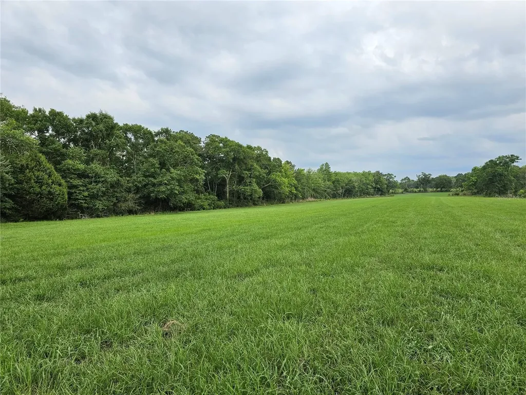 3602 Robert Murphy Road Graceville FL 32440