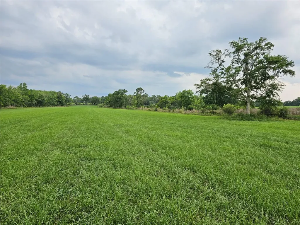 3602 Robert Murphy Road Graceville FL 32440