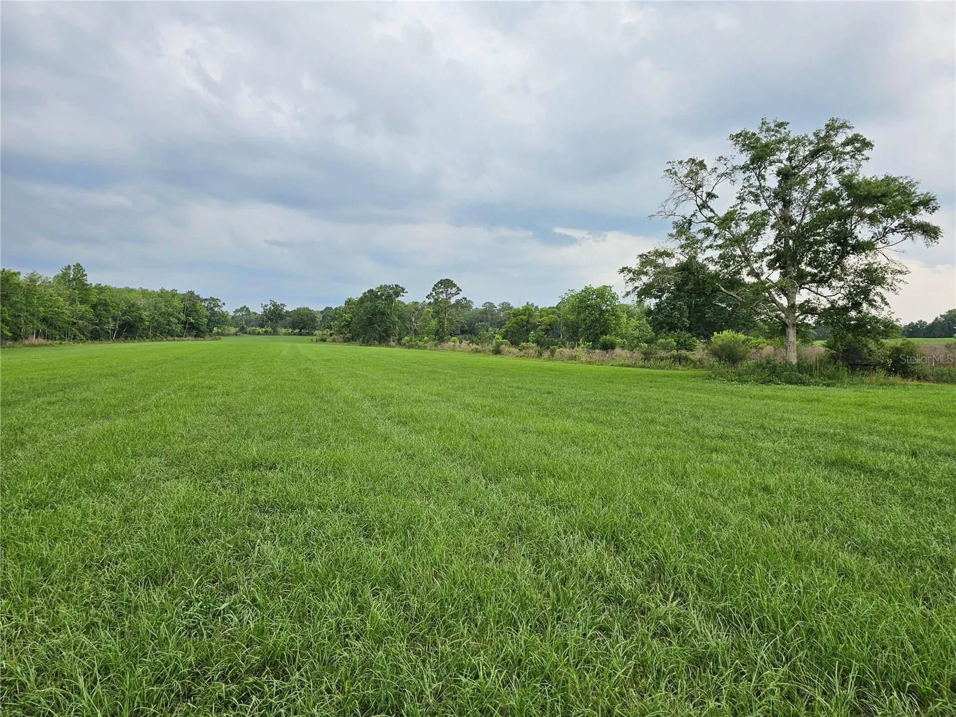 3602 Robert Murphy Road Graceville FL 32440