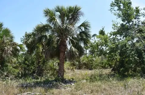 15189 Amsterdam Avenue Port Charlotte FL 33981