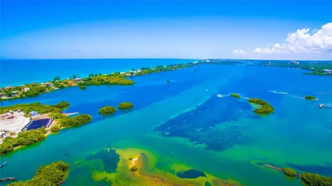 424 Albee Road W Nokomis FL 34275