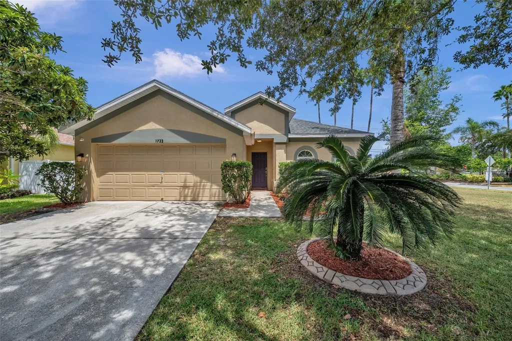 1733 Loriana Street Brandon FL 33511
