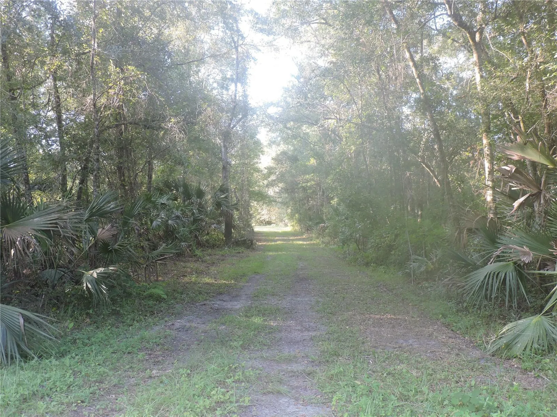 W County Road 2006 West W Bunnell FL 32110