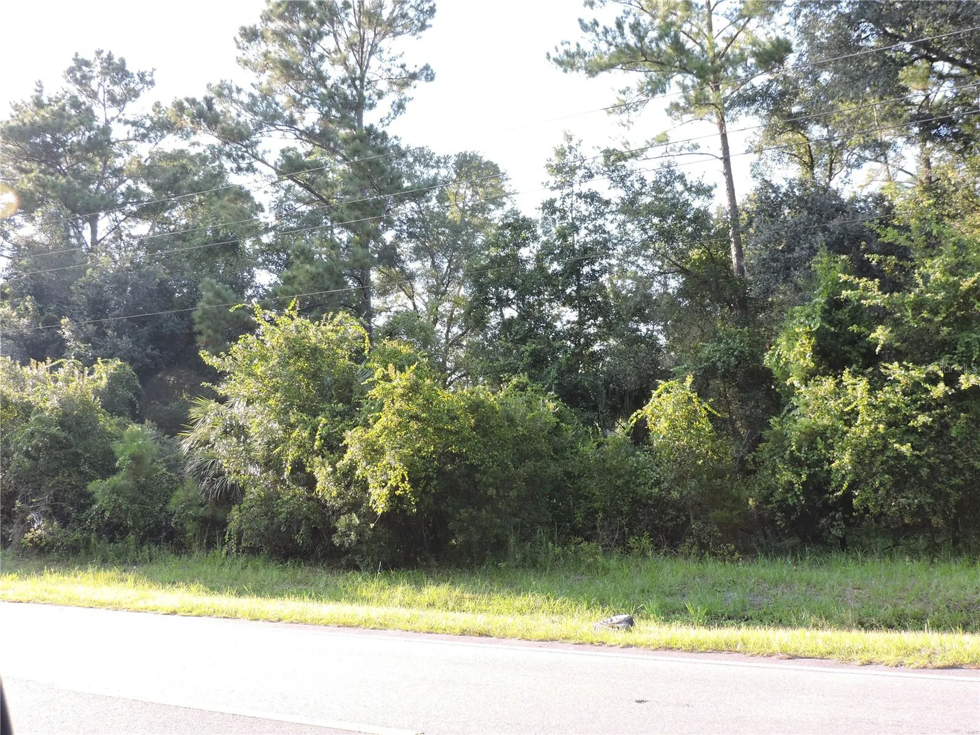 W County Road 2006 West W Bunnell FL 32110