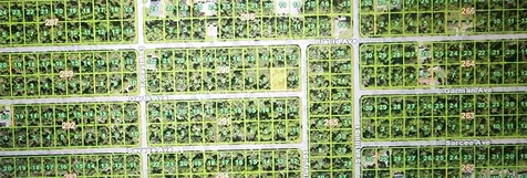 18198 Garth Avenue Port Charlotte FL 33948