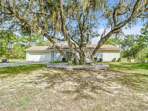 16345 SE 113th Street Road Ocklawaha FL 32179