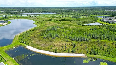 19323 Blue Pond Drive Lutz FL 33558