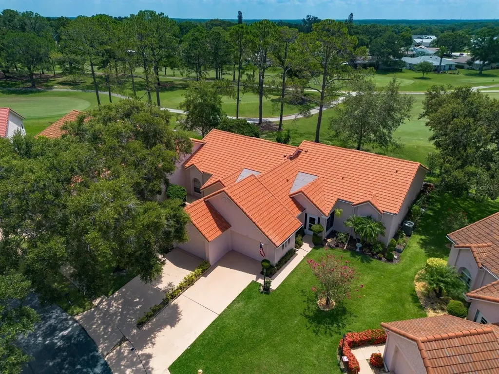 1145 Woodleaf Court Palm Harbor FL 34684