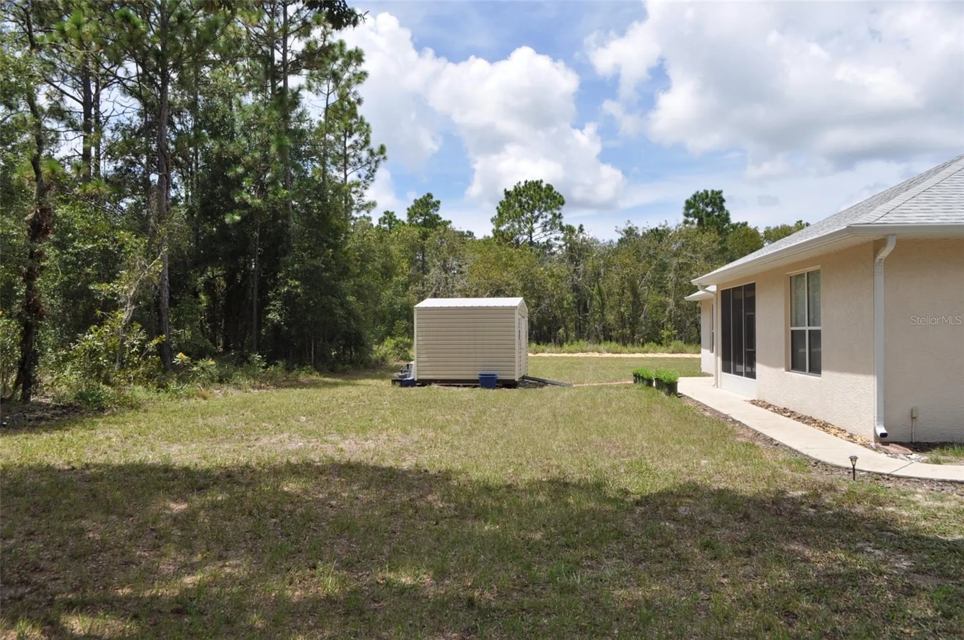 15580 NE 16th Lane Williston FL 32696