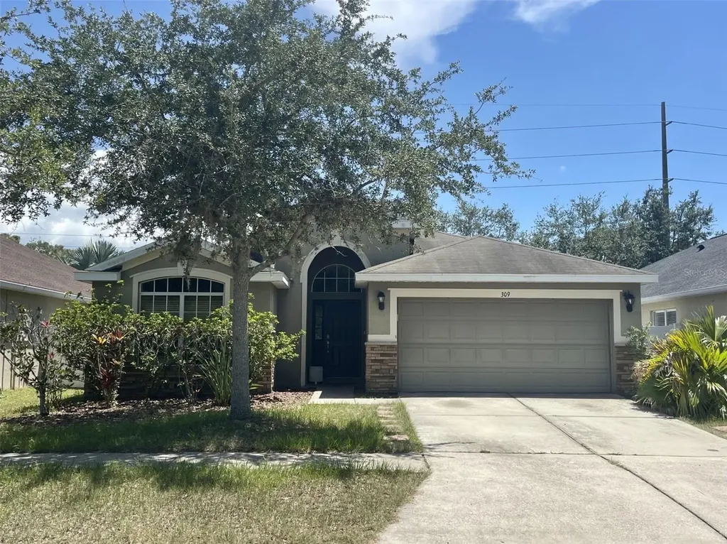 309 Delwood Breck Street Ruskin FL 33570