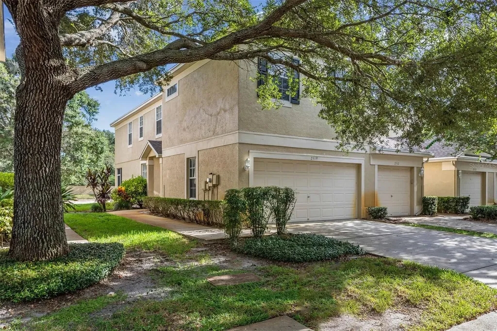 2519 Earlswood Court Brandon FL 33510