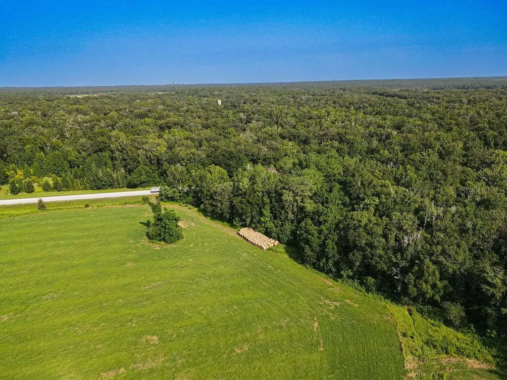Ponce De Leon Boulevard Brooksville FL 34601