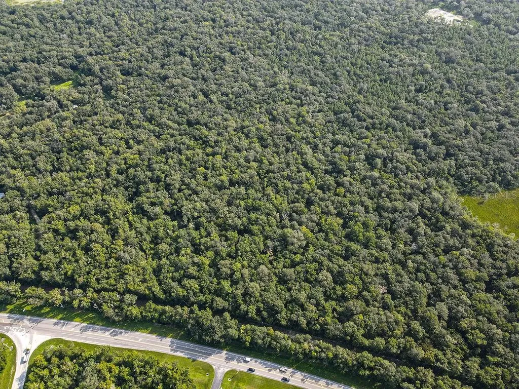 Ponce De Leon Boulevard Brooksville FL 34601