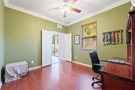 3602 Olde Lanark Drive Land O Lakes FL 34638