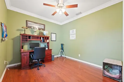 3602 Olde Lanark Drive Land O Lakes FL 34638