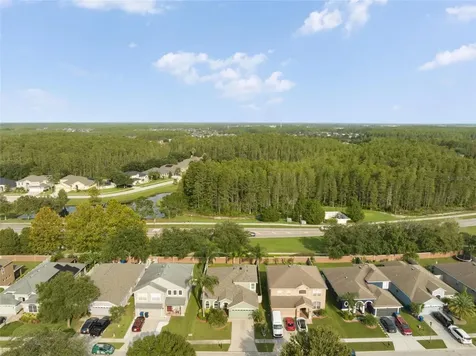 3602 Olde Lanark Drive Land O Lakes FL 34638